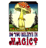 Magic Mushrooms Value T-Shirt
