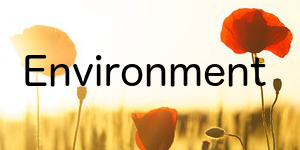 Environment