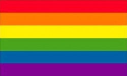 Rainbow Pride Flag (3' x 5')