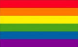 Rainbow Pride Flag (3' x 5')