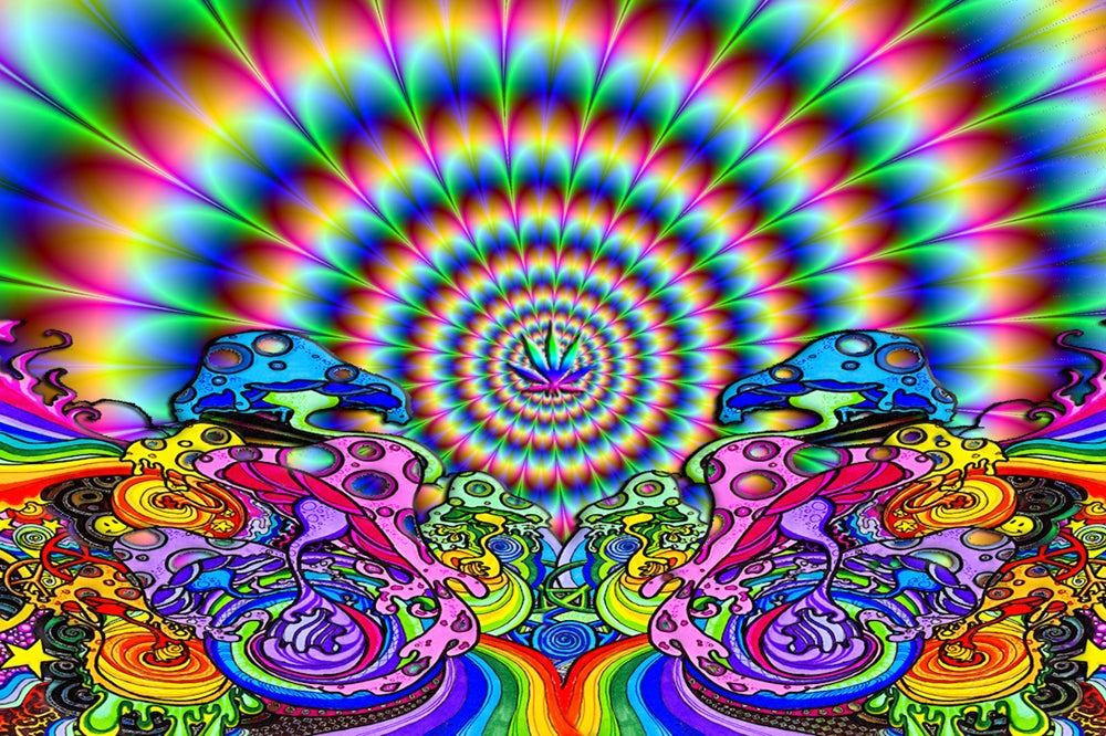 Trippy Hippie Fractal 24" x 36" Poster