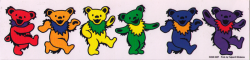 Rainbow Dancing Bear - Grateful Dead - Window Sticker / Decal (11.5" X 2.5")