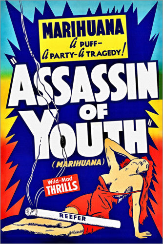 Assasin of Youth 24" x 36" Movie Poster