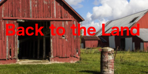 Back to the Land